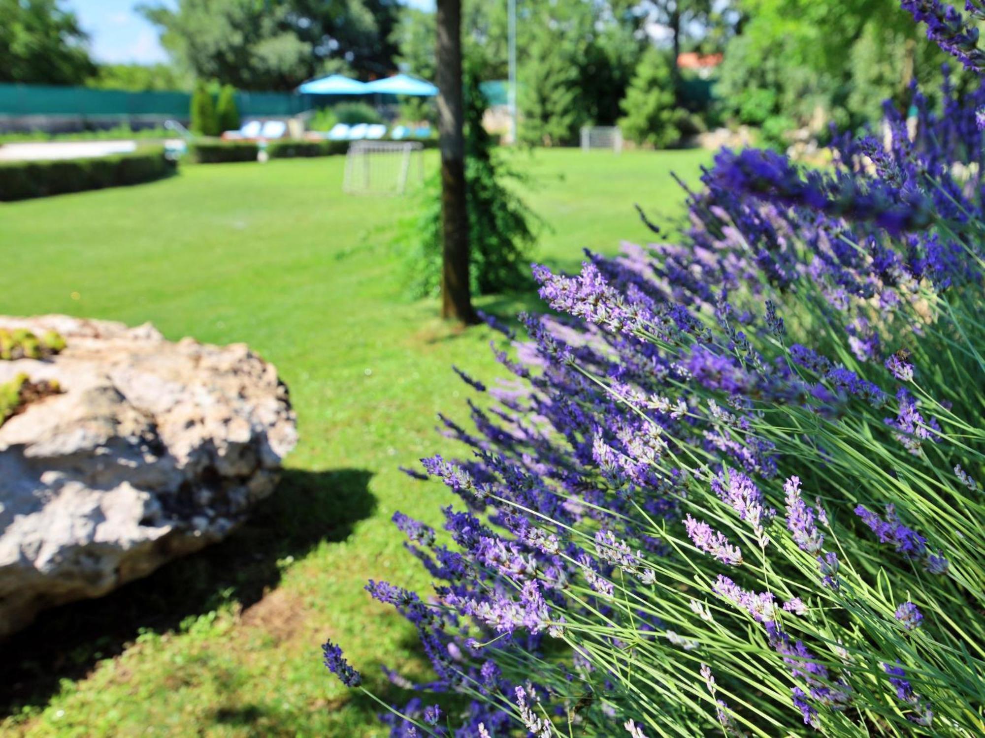 Holiday Home Bili Dvori By Interhome Trilj Buitenkant foto